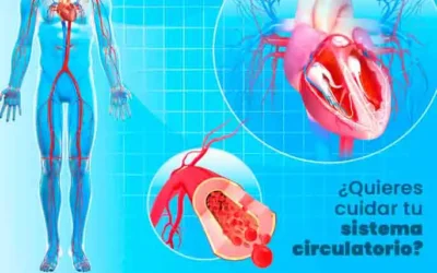 Vascular Surgery in Ecuador: Diagnosis and Treatment of Vascular Diseases