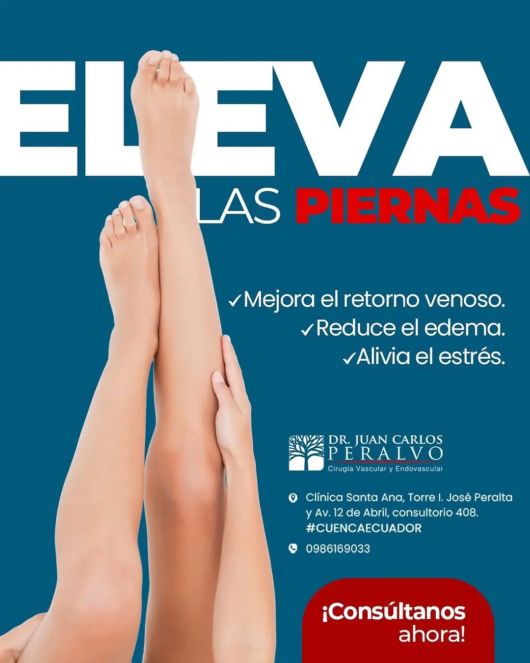 circulación vascular