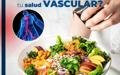 Did you know what you eat can transform your vascular health?